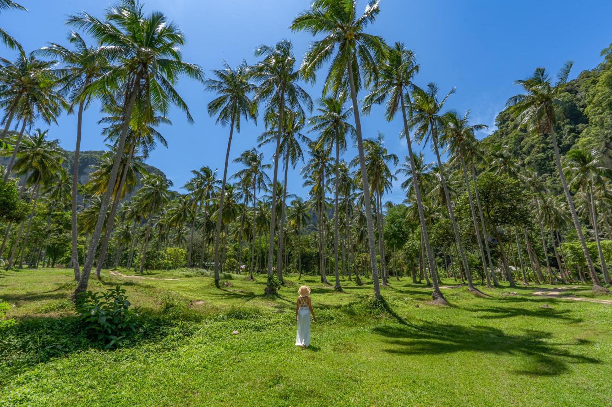 Tinidee Hideaway Tonsai Beach Krabi - Sha Extra Plus المظهر الخارجي الصورة